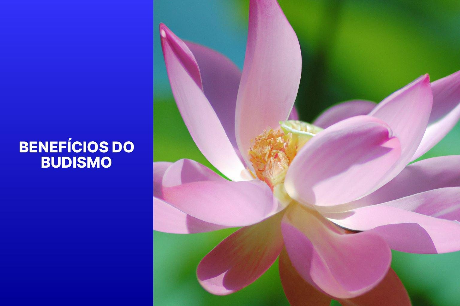 Benefícios do Budismo - Budismo Joinville 